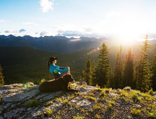 Vail Lifestyle Woman with Dog on Mountain